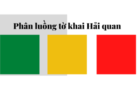 Hiểu Rõ Cơ Chế Phân Luồng Hải Quan: Luồng Xanh, Luồng Vàng và Luồng Đỏ